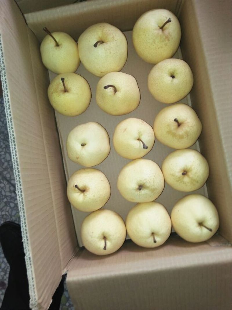 蒲城酥梨350~400g纸箱