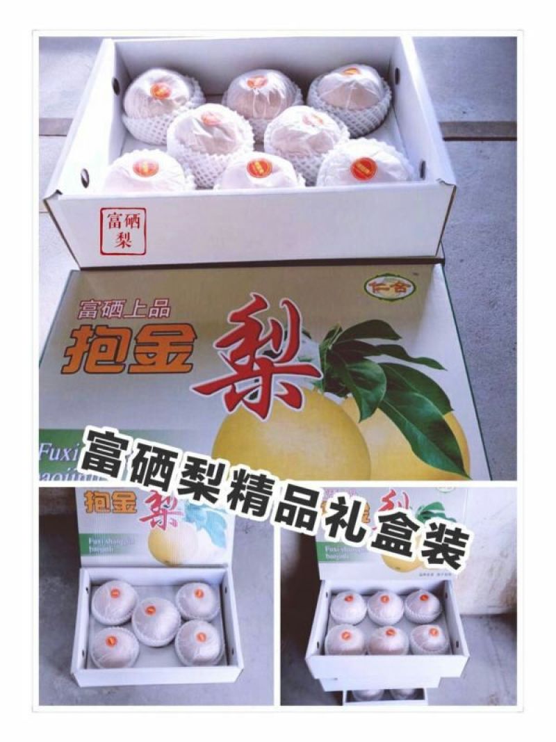 韩国新高梨600g以上纸箱
