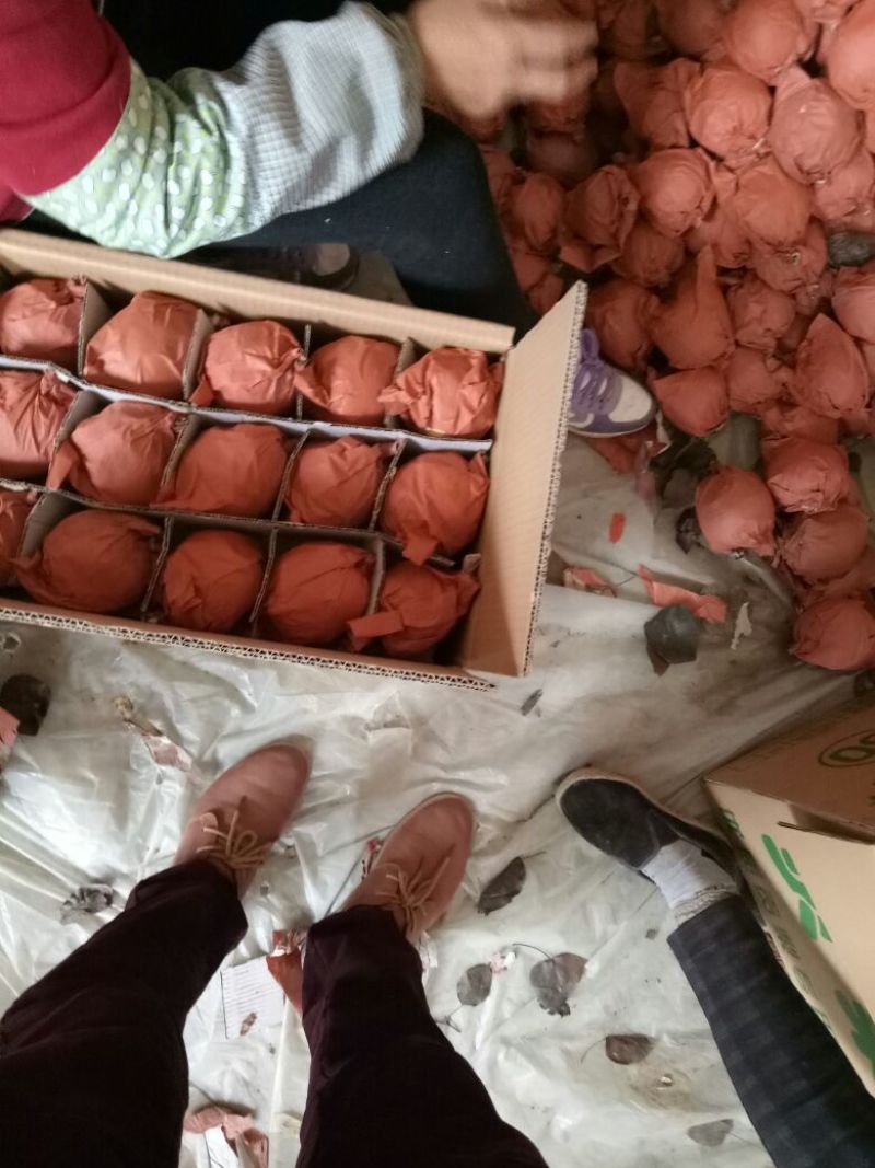 贡梨250~300g纸袋