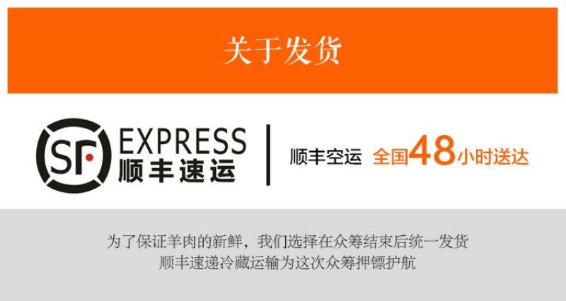 盐池滩羊羊排羊腿散养羊蝎子羊脖子盐池滩羊绵羊