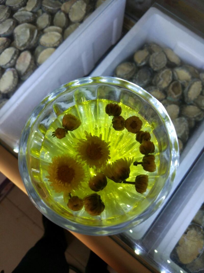 杭州白菊罐装