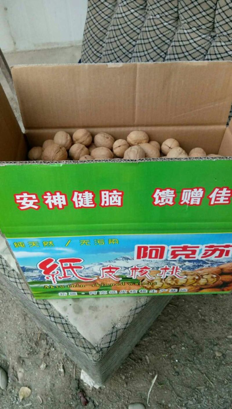 薄皮核桃新疆温宿纸皮核桃