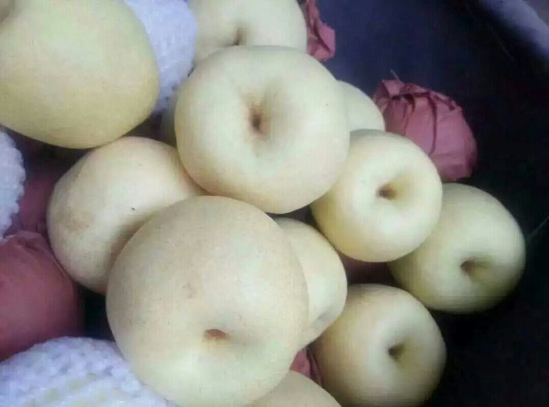 酥梨150~200g纸袋
