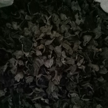 干木耳一级