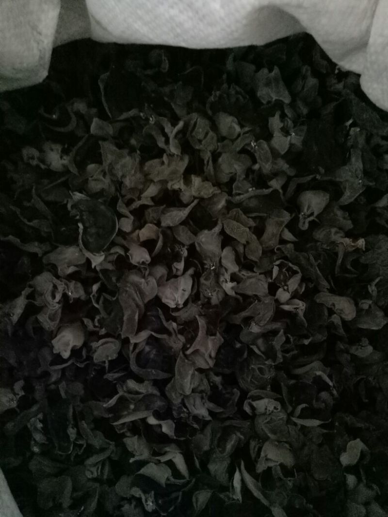 干木耳一级