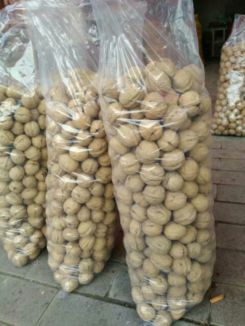 薄皮核桃30mm以上去皮