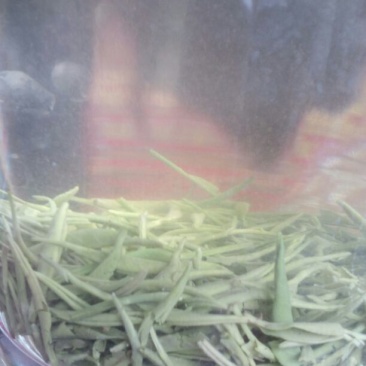 本山茶一级