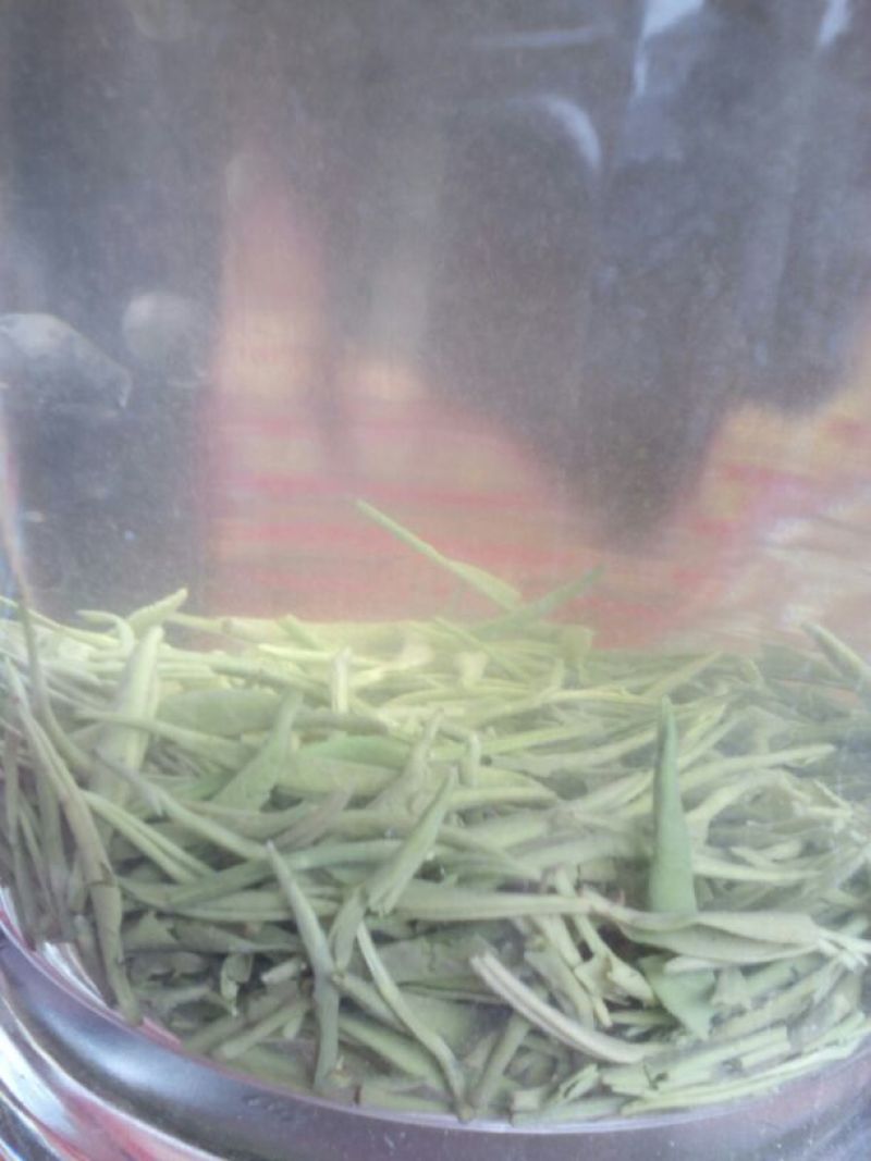 本山茶一级