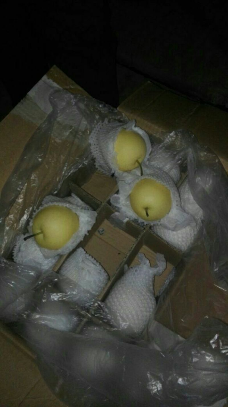 皇冠梨
