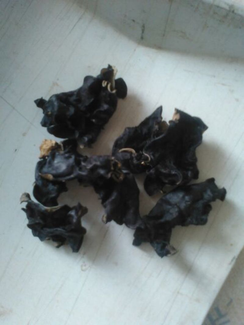 干木耳一级