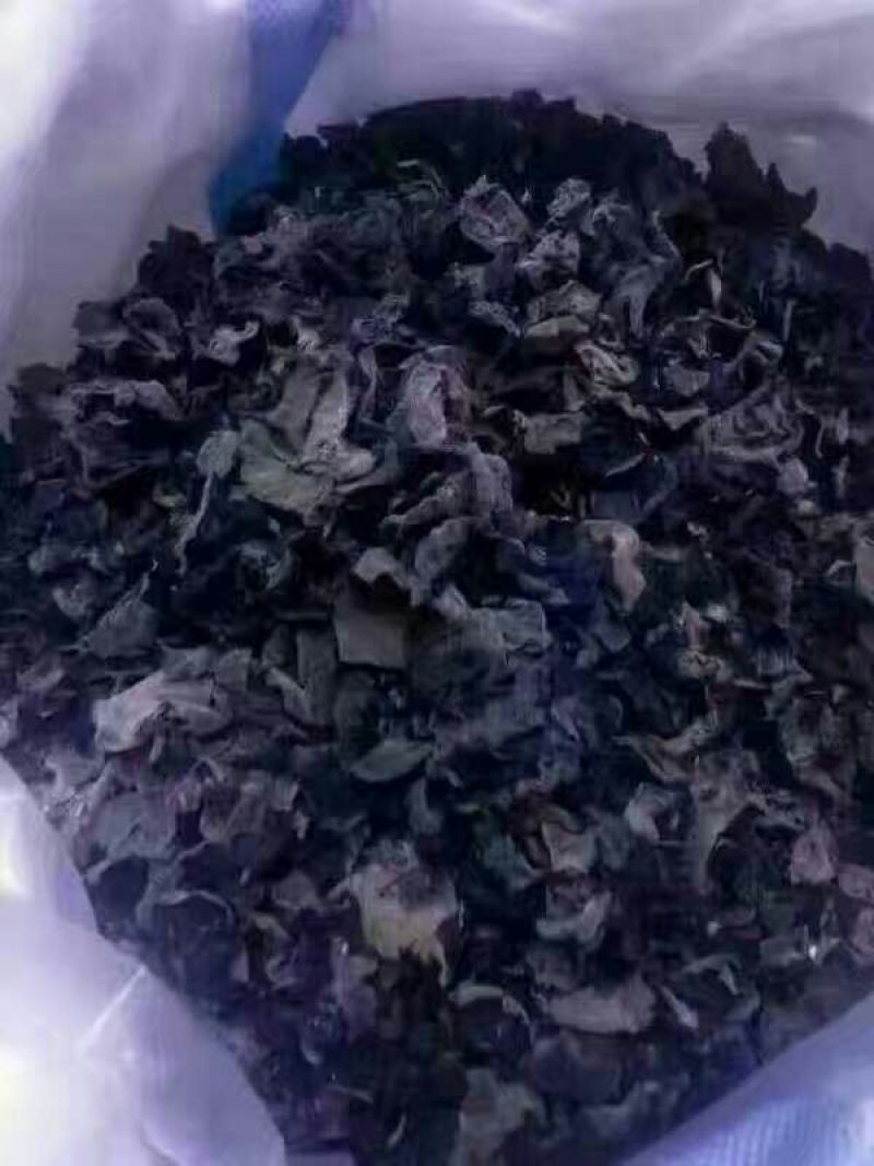 木耳一级