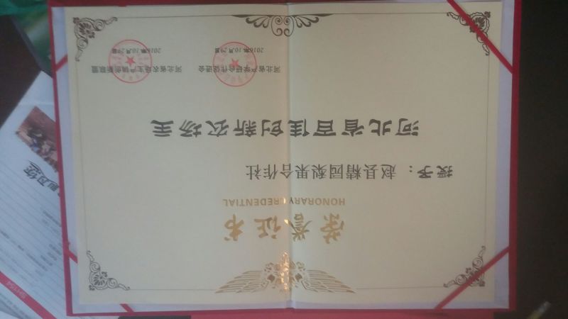 皇冠梨400~450g纸袋