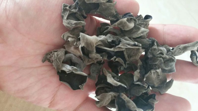 黑木耳特级