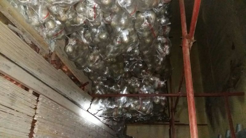 心里美1~1.5斤起