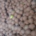 雪花梨400~450g纸袋
