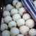砀山梨250~300g光果