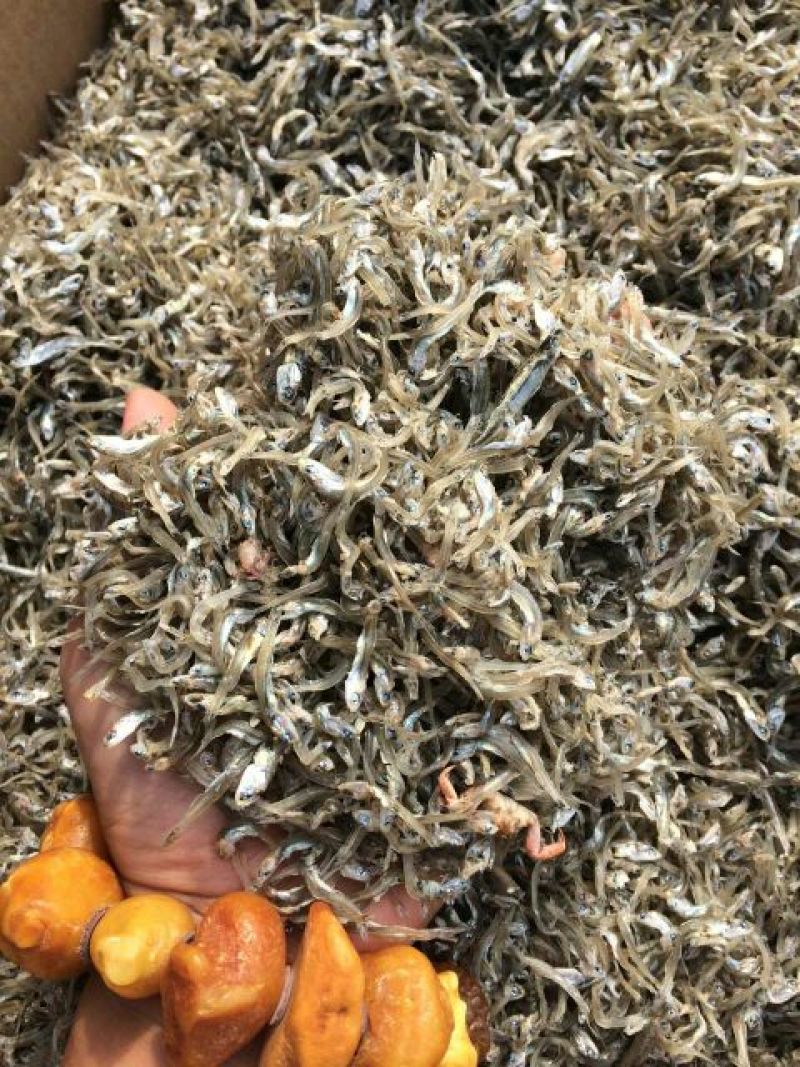 银鱼干