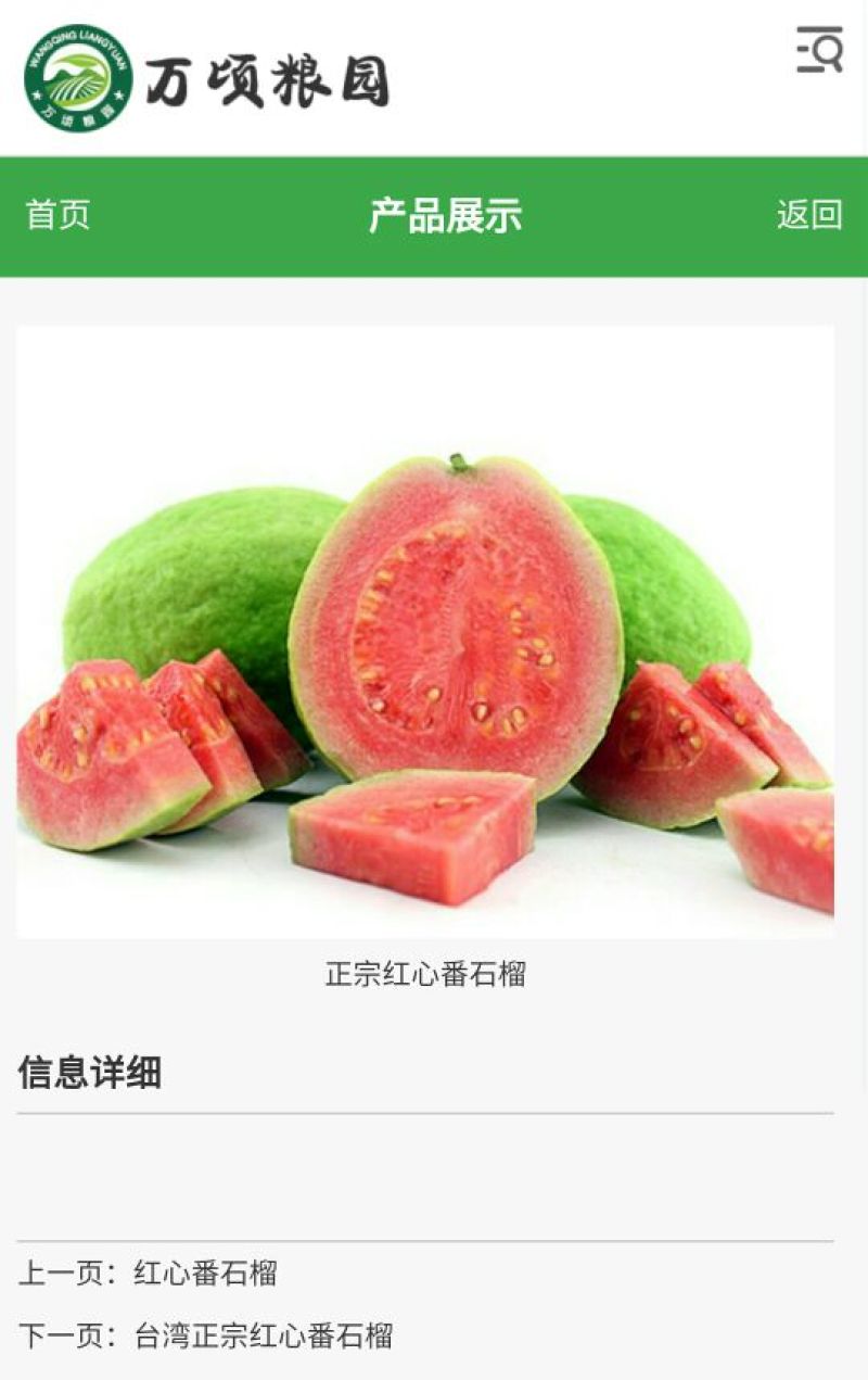 番石榴苗30cm以下