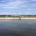 池鲤鱼