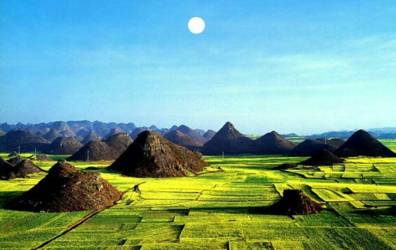 菜油一级