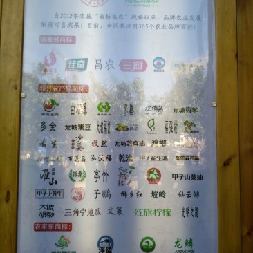 沙姜袋装