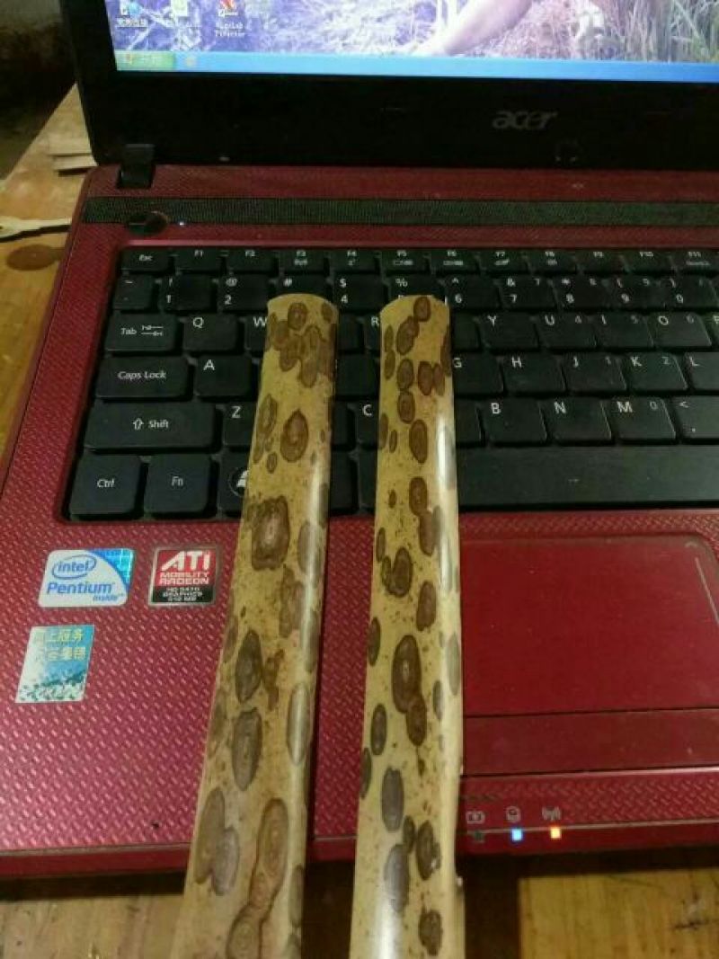斑竹5~6m