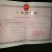 桃树苗80cm以上