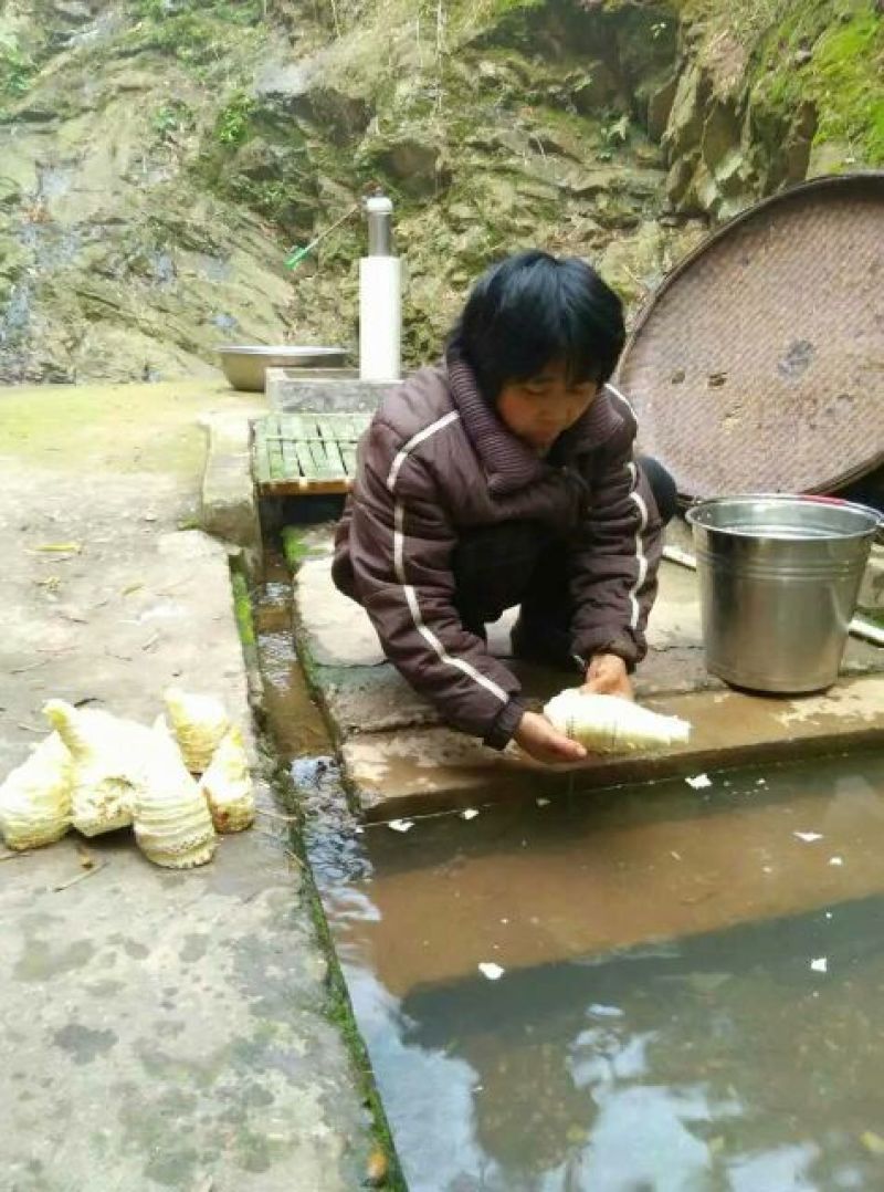 春笋