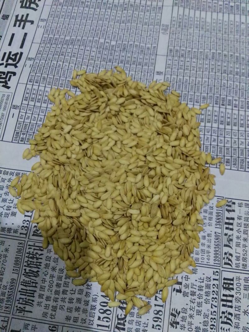 哈密瓜1斤以上椭圆形