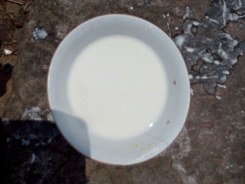 红薯淀粉
