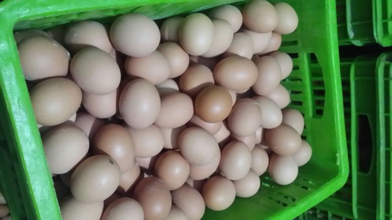 普通鸡蛋食用50~60g