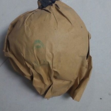 晚秋黄梨450~500g纸袋