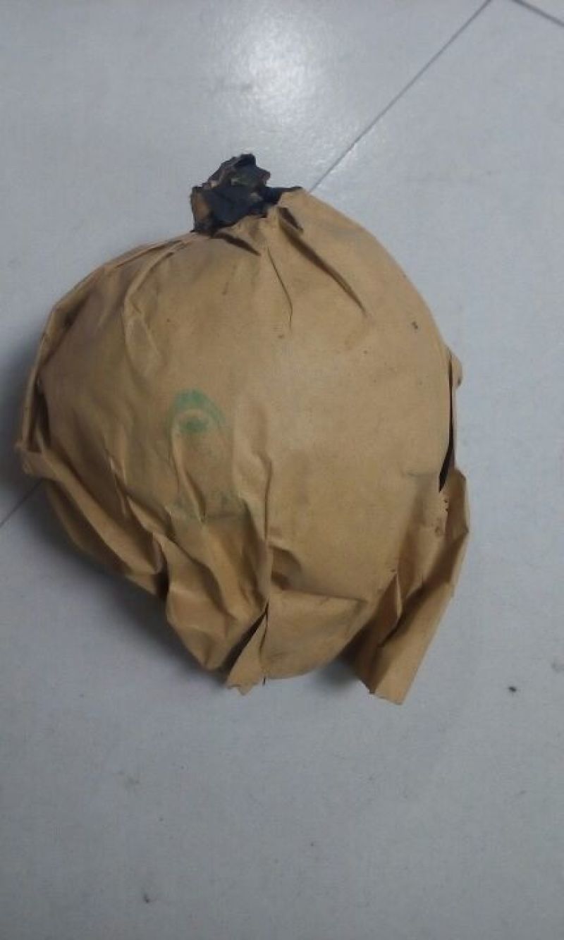 晚秋黄梨450~500g纸袋