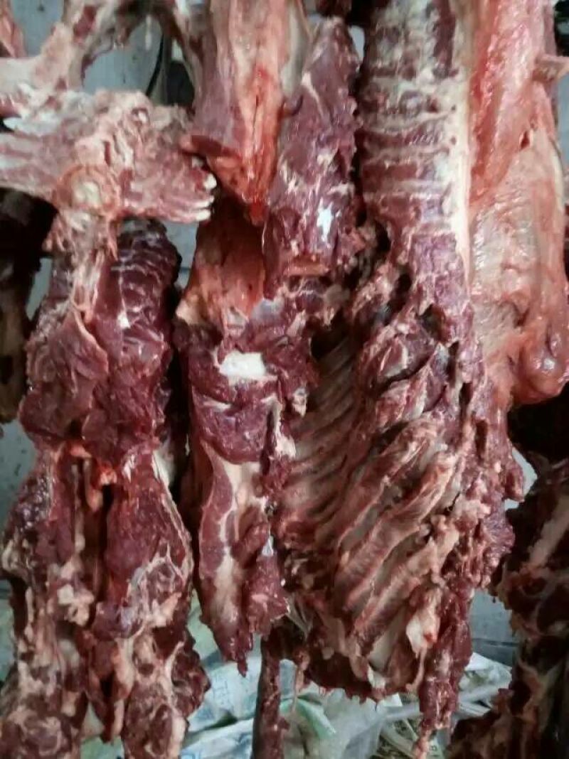 肉驴100~200斤