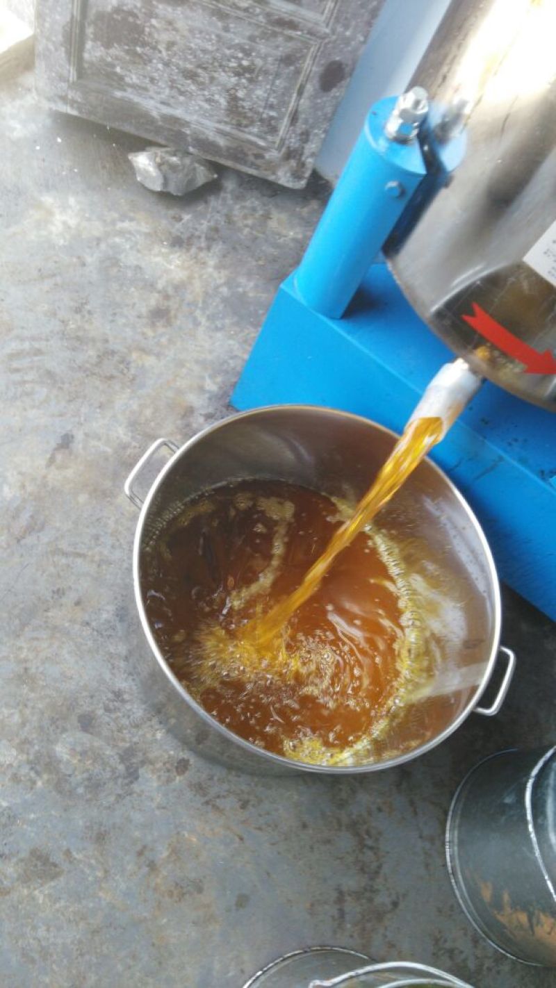 菜饼