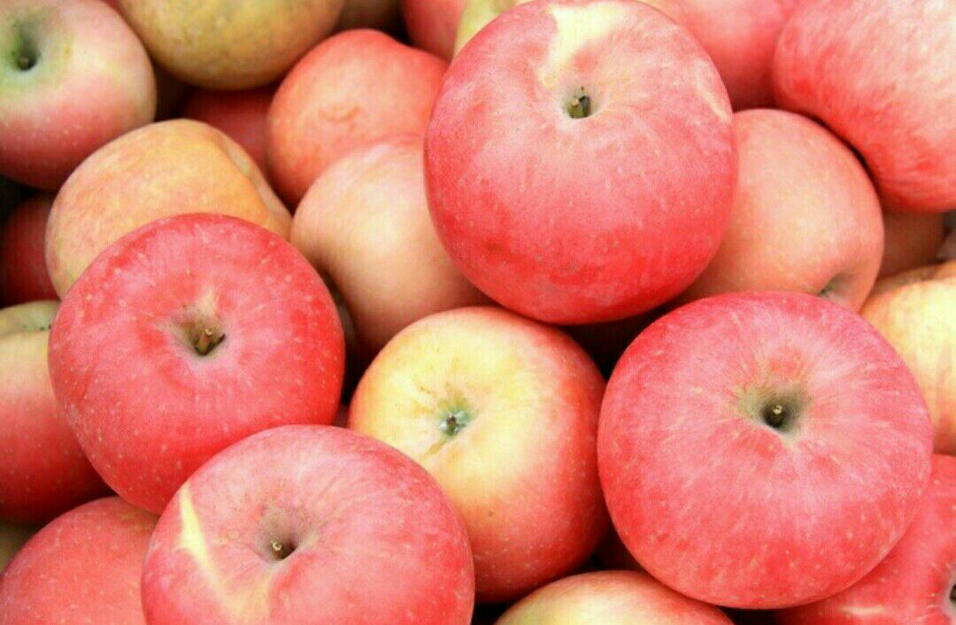 红富士苹果山东烟台招远市_批发_供应-一亩田