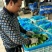 精品生菜4两~5两货源充足，价格实惠量大从优欢迎来电