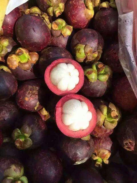 山竹广东广州白云区_批发_供应-一亩田农业网