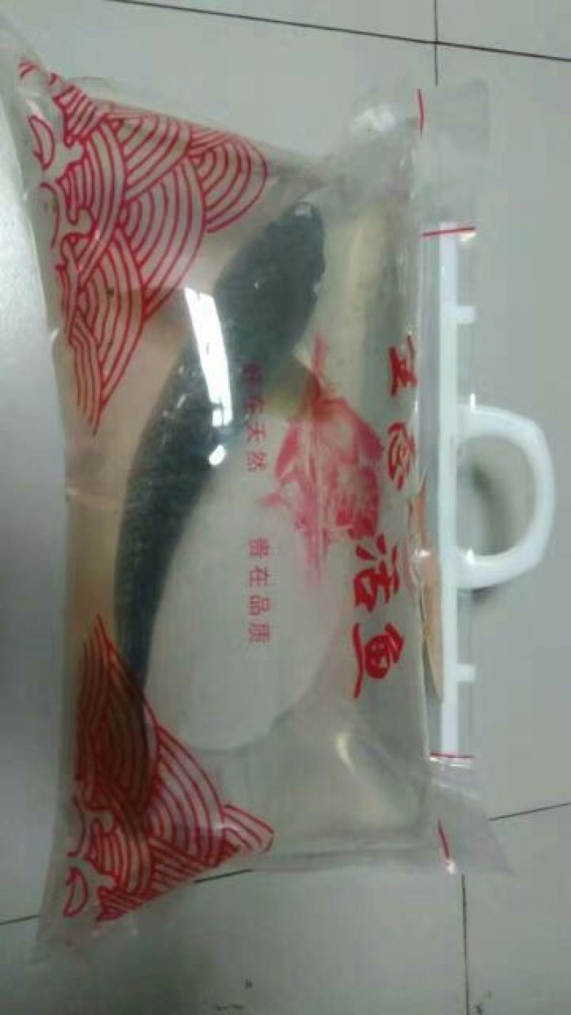 野鲤食用1~2公斤