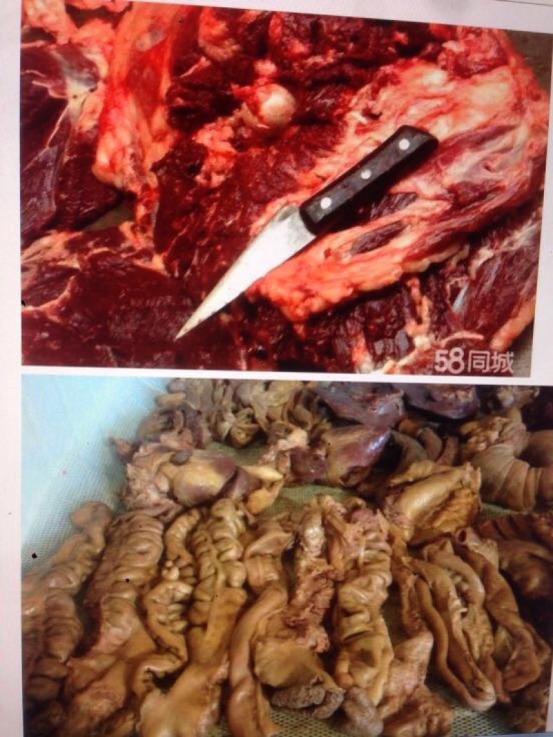 驴肉