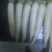 白萝卜2.5~3斤起