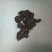 何首乌家种统片