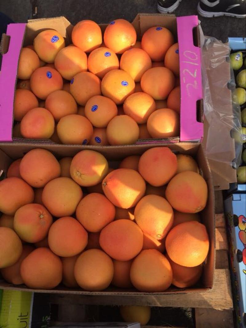 【有好货】葡萄柚南非以色列埃及福建红心西柚