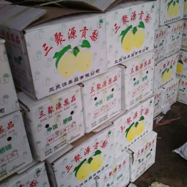酥梨250~300g纸袋