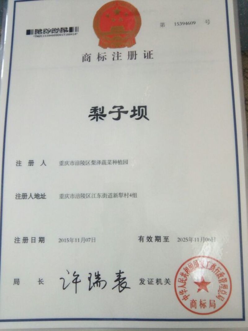 红薯淀粉