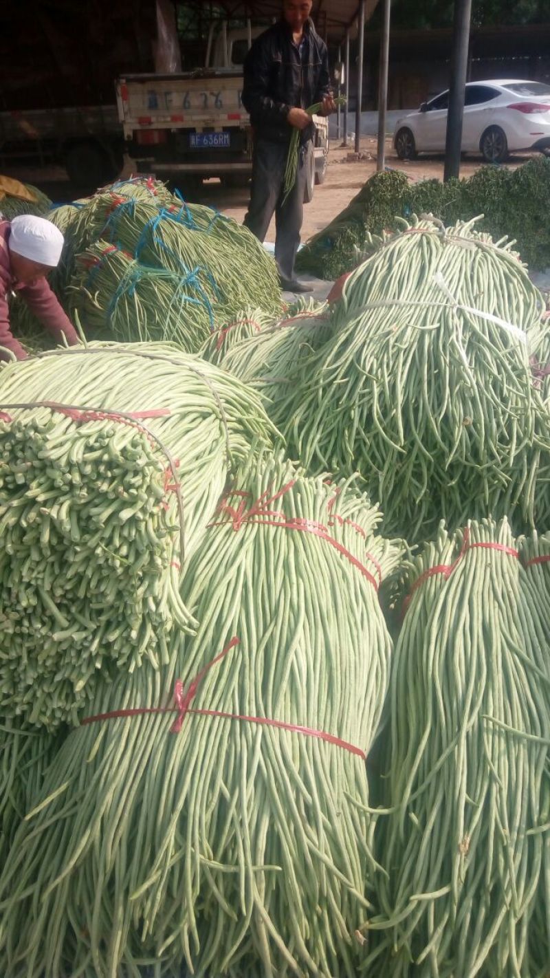 精品长豆角，大量上市，货源充足，质量很好，提供各种包装