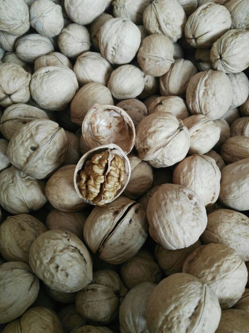 纸皮核桃去皮干
