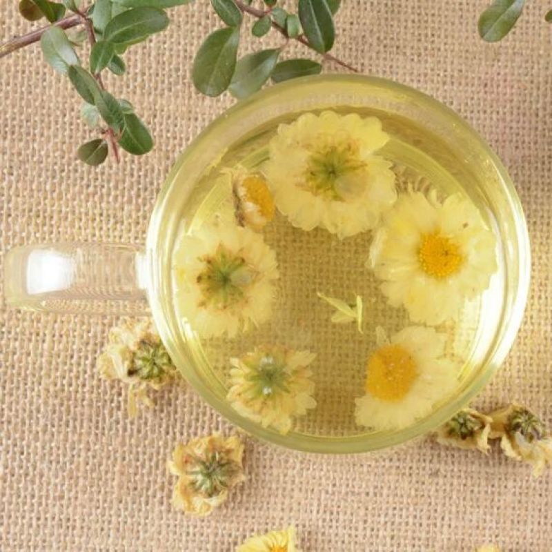 白菊花茶