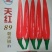 艳红干辣椒通货8成干