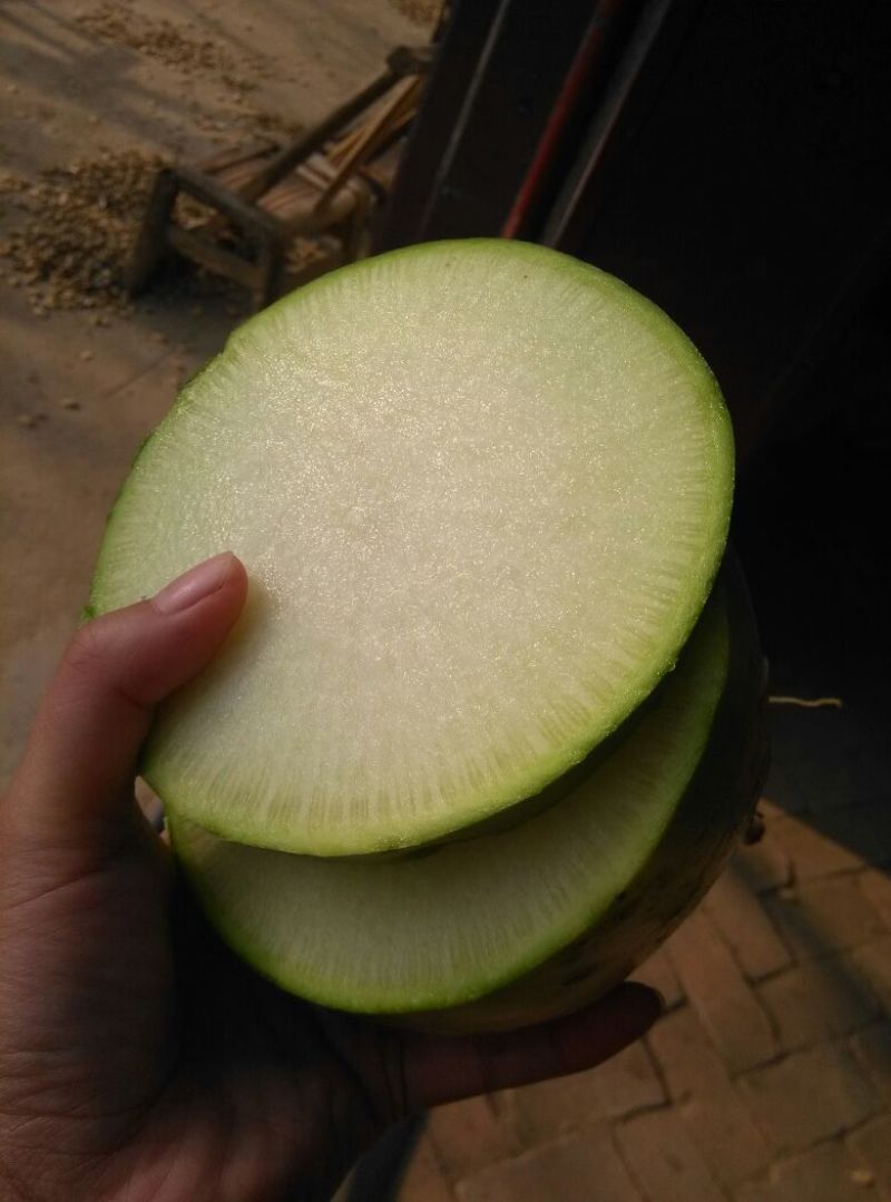 青萝卜